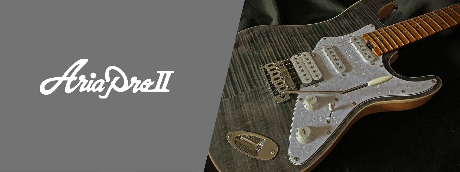 Aria Pro II — MusicStox