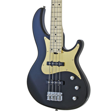 Aria Pro II RSB-618/4 4-String Bass Guitar Black Body